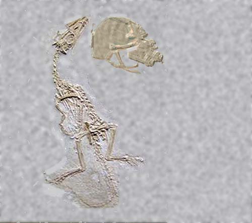 dinosaur with night goggles